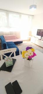 Beautiful Flat in Central London - 9