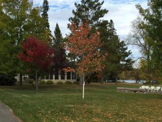 Hickory at Pine Cone Lodge - 8