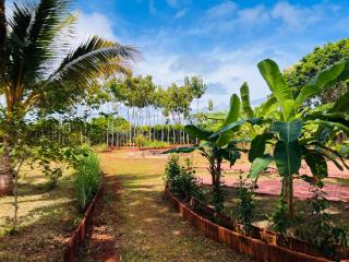 Aachchi Country Home by ABC Leisure's group - 8