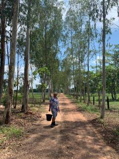 Estancia proximo Rio em Leverger - 6