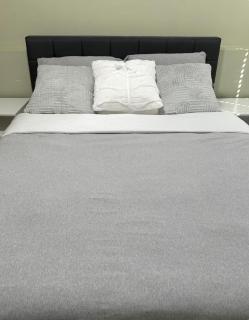 Spacious 2BR Guest Suite in Vancouver - 5