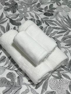 Spacious 2BR Guest Suite in Vancouver - 7