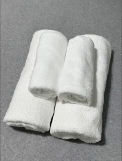 Spacious 2BR Guest Suite in Vancouver - 4