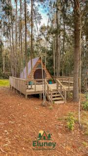 Glamping Eluney Bucalemu - 9