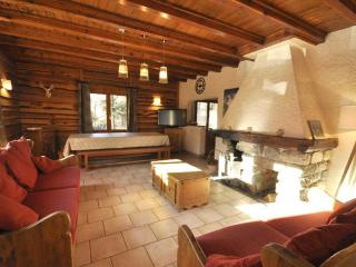 Chalet 10p avec Jardin, Proche Pistes, Wi-Fi, Cheminée - La Salle-les-Alpes - FR-1-762-49 - 0