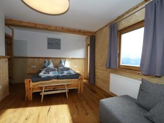 Unique alpine pasture in the Zillertal mountains - 3