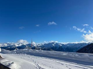 Unique alpine pasture in the Zillertal mountains - 2
