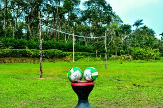 Rainy Cloud Homestay - Estate, Home Food, Near to Falls & Safari - 4