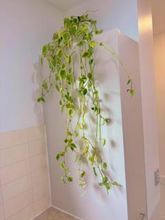 Comfortable in Central Wanaka and Free Parking - 7