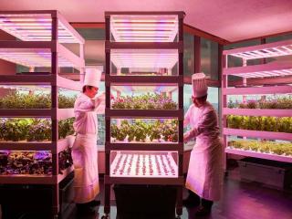 Swissotel Nankai Osaka - 5