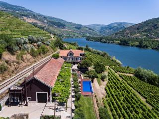 Quinta de S.Bernardo - Winery & Farmhouse - Mesão Frio - 5