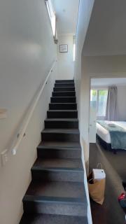 Quiet Central Dunedin Apartment & covered parking - 9