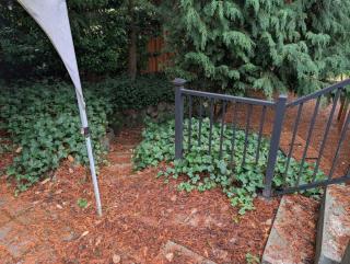 Entire ADU with hottub - 8