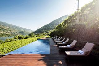Quinta de S.Bernardo - Winery & Farmhouse - 4