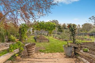 Mt Ida Views Homestead - 6