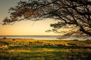 Charmig Kustgård Med Yogastudio Och Bäckar - Vejbystrand - 5
