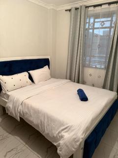 1B in thika town with free parking - 5