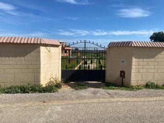 Luxe & Sérénité Sousse - 7