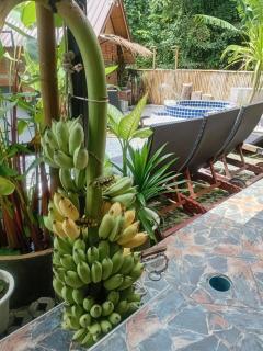 Sauna Patong Bar - 8