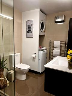 Queenstown Apartment - 1