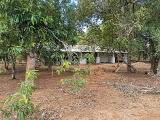 Sigiriya Loris Haven - 0