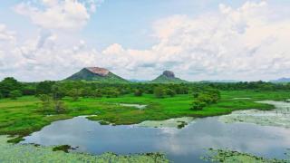 Sigiriya Loris Haven - 3