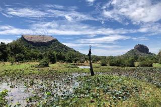 Sigiriya Loris Haven - 2