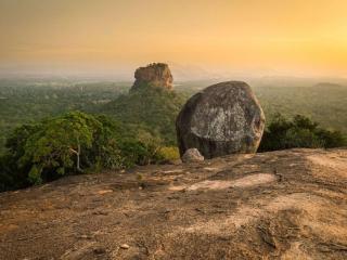Sigiriya Loris Haven - 1