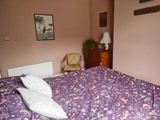 Bishop Auckland B and B - 6