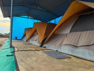 Zone 51 Malpe - Beach Camping - 6