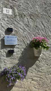 Dina’s Flower House - 1