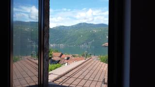 Dina’s Flower House - 1