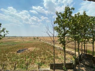 Swiss-Belexpress Rest Area KM 166 Cipali - 9