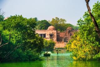 Hotel Ambica Palace - 1
