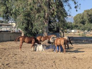 River and Mountains - 1