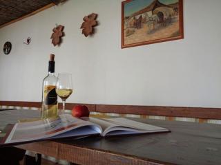 Gasthaus Helena - Mörbisch am See - 5