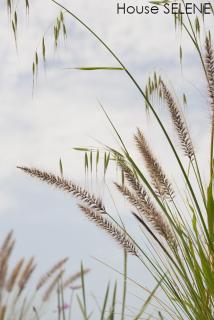 KYNARA Boutique Village - 1