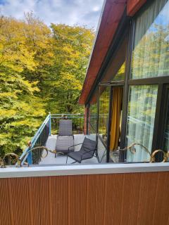 თორო Thoreau - 5