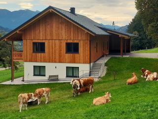 Naturchalet Forster - 7