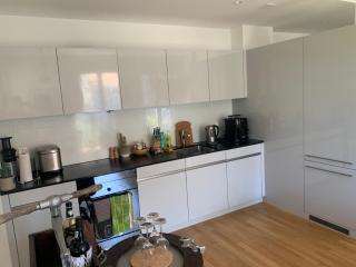 Beautiful Apartment in Central Zurich - 5