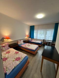 Gasthaus und Pension Zur Libelle - 1