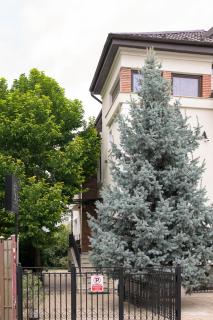 Pensiunea Casa Sturza - 8