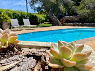 Hermanus Self-Catering - 9