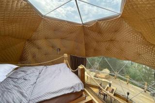 Lake view Dome Sleeps 6 -Hot tub -Fireplace - 3