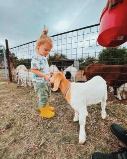 Cliffside Cabin @ High Hope Ranch Cowboy POOL! - 9