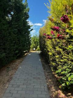 Villa Pêra by Gabi Miguel - Pêra - 9