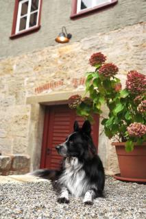 Schlossbrauerei Langenburg - 2