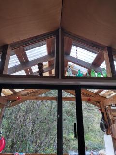 The Abel Tasman Treehouse - 2