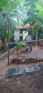 The Green resort goa - 8