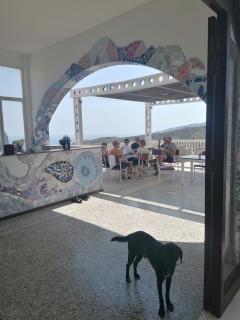 Art & Motion Union - Guest Room 5 - 4
